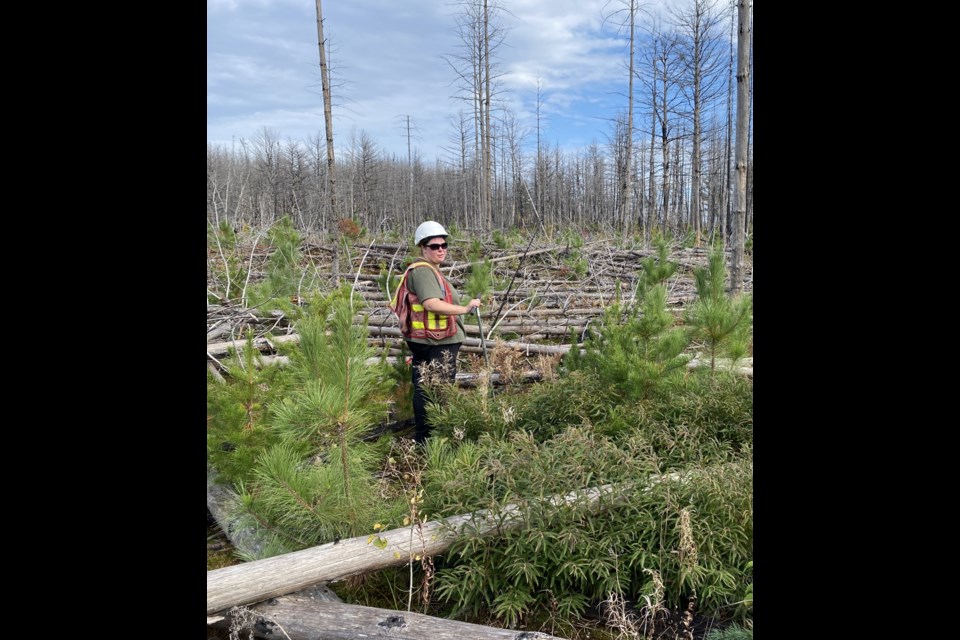  Courtney Antram (MESc in progress, Nipissing University), River Valley Fire Site, October 2023.