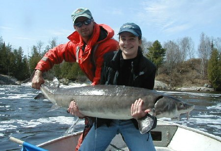 Jurassic fish - North Bay News