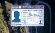 This Is What Your New Ontario Driver s Licence Will Look Like BayToday ca