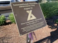 International Overdose Awareness Day Today North Bay News