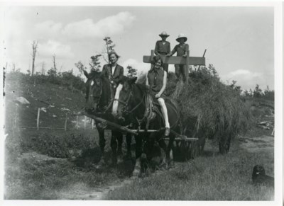 unidentified farming pictures