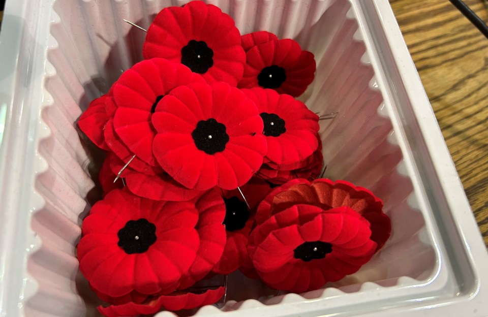 2024-poppies-in-a-tray-turl