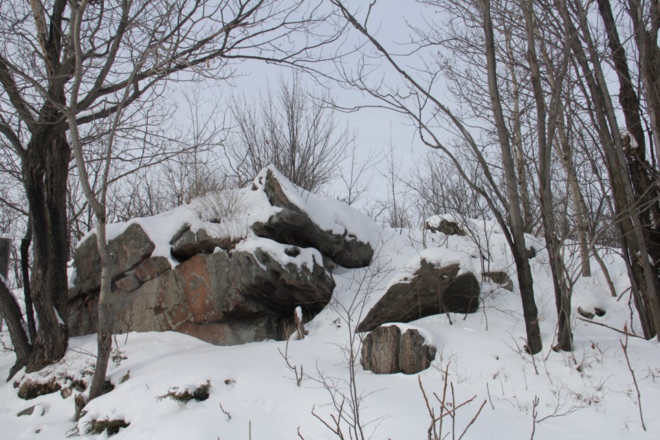 USED 20180222 7 Trees, snow and rocks. Photo by Brenda Turl for BayToday.