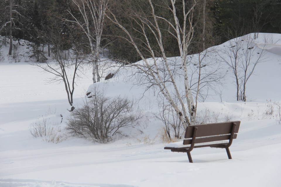 USED 20180222 9 A seat with a view. Photo by Brenda Turl for BayToday.