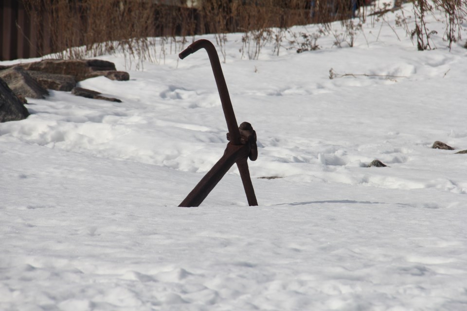 USED20180308 1 Anchored. Photo by Brenda Turl for BayToday.