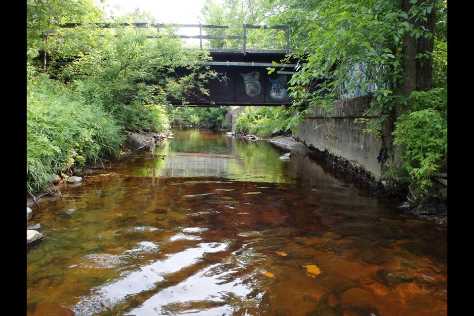 This pedestrian bridge over Chippewa Creek will be replaced. Courtesy NBMCA.