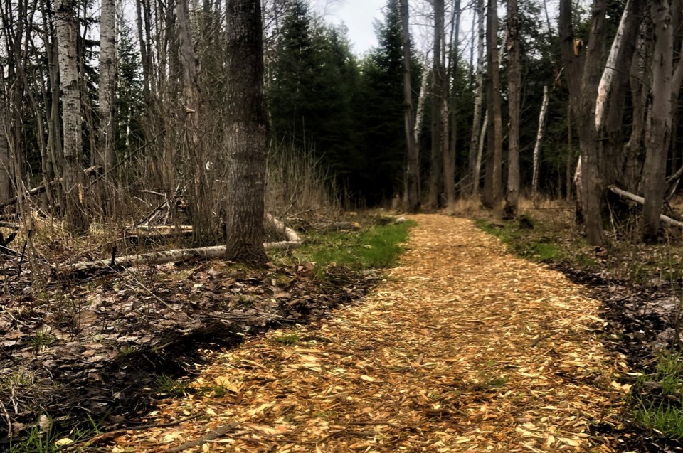 2021 04 26 Laurier Woods (Courtesy Bill Hagborg)