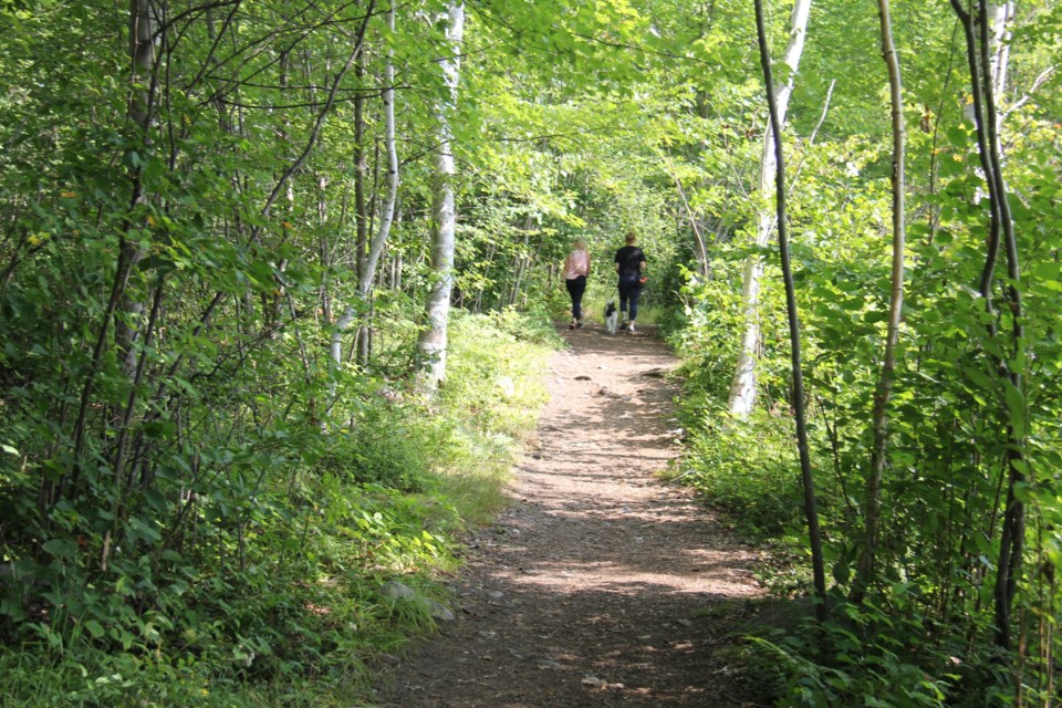 20230808-laurier-woods-hikers-turl