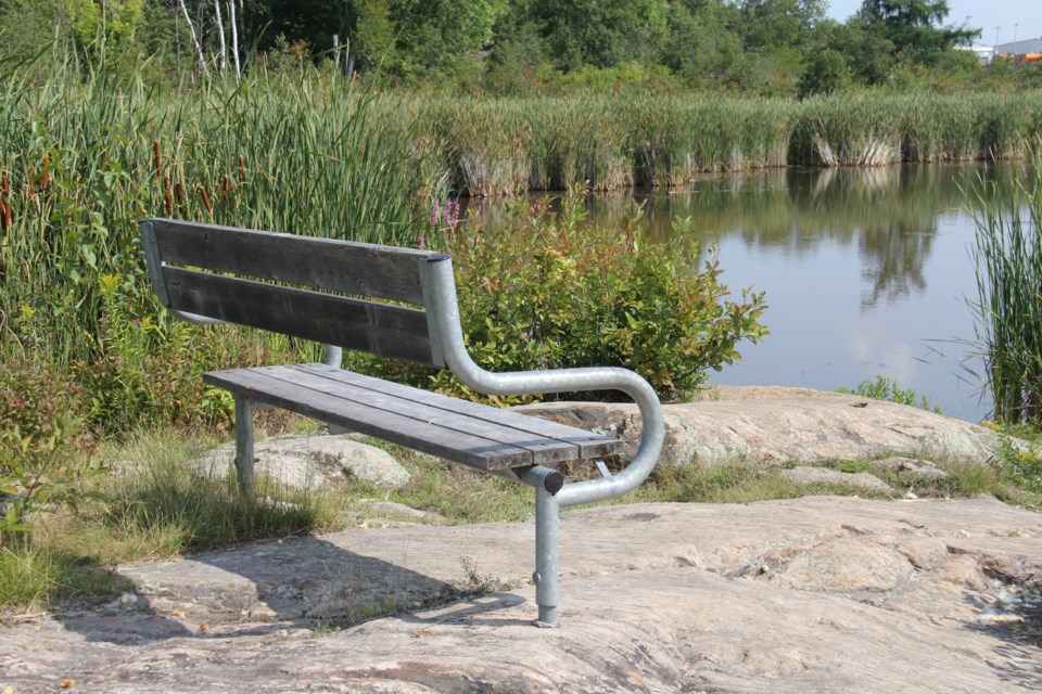 20230822-laurier-woods-bench-turl