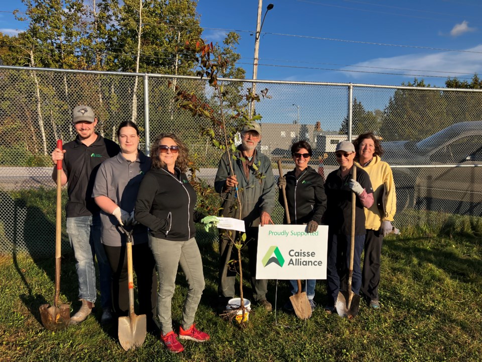 2024-30-planting-at-chippewa-school-with-caisse-oct-8th-2024