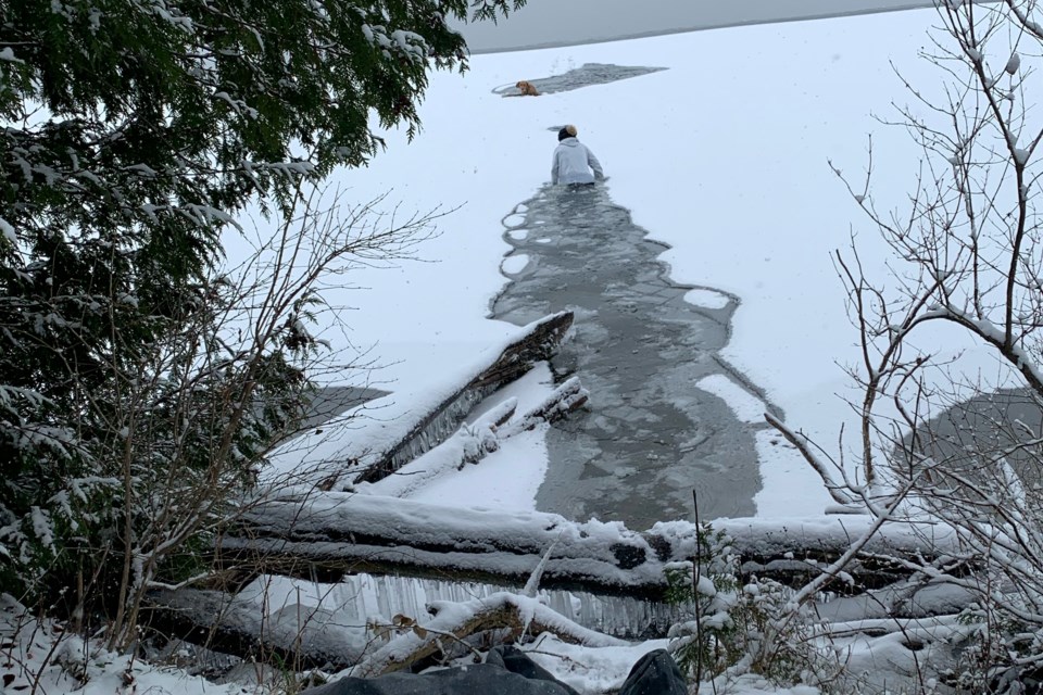 2025-01-14-dog-through-ice-at-bass-lake-2-crop-supplied