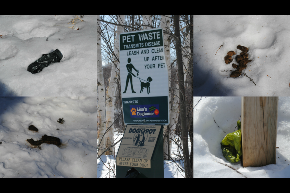 A sampling of the dog feces left behind by dog owners in Laurier Woods Conservation Area. Pictured in centre is a station containing baggies and a receptacle to deposit dog poop. Photos by Stu Campaigne.