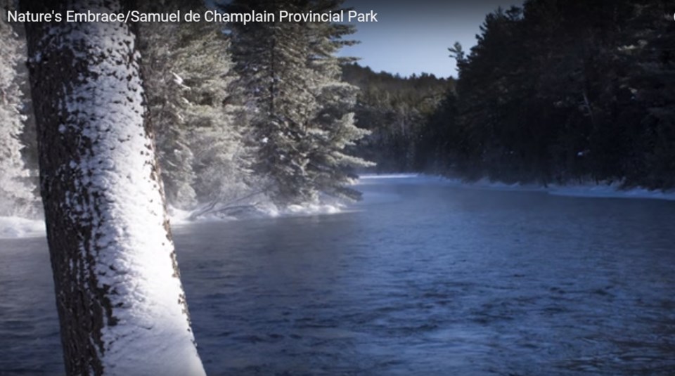 samuel de champlain park brown 2016