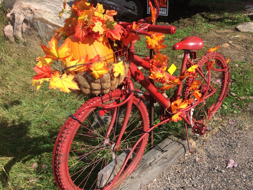 thanksgiving bike ride