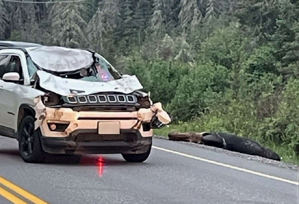 20230629-car-moose-collision-hwy-63