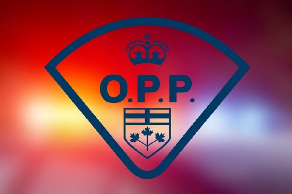 2024-opp-logo-lights-in-bg