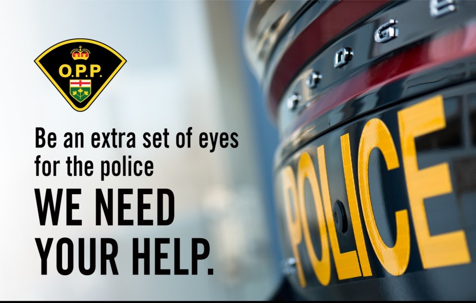 2024-opp-report-impaired-driving-need-help