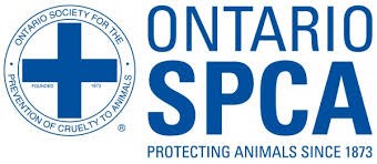 SPCA probes animal cruelty case in Thunder Bay - Tbnewswatch.com