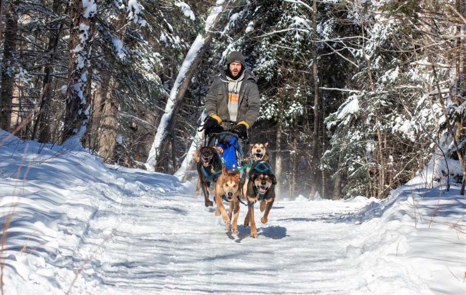 2023-south-river-dog-sled-race-rocco