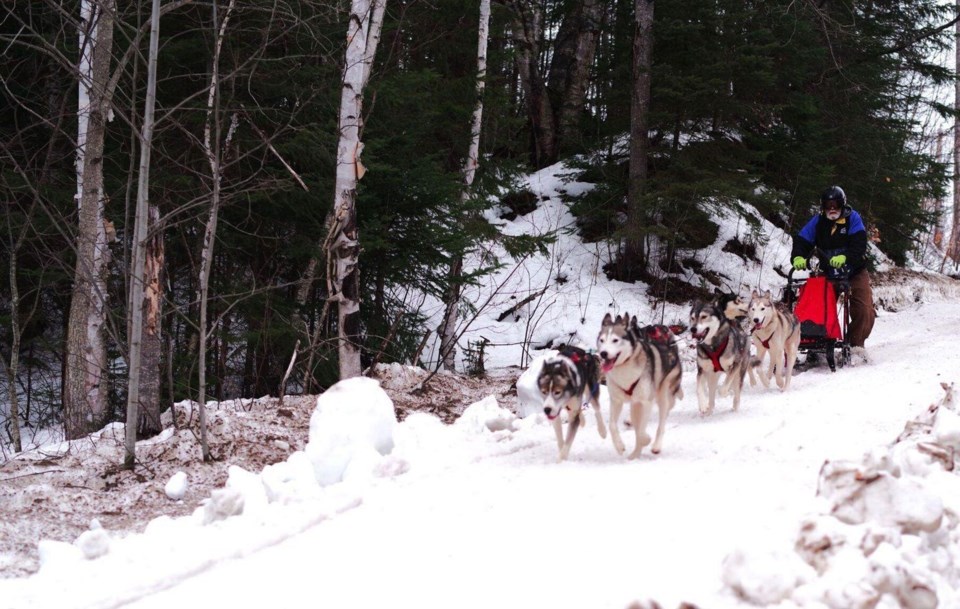 2024-kearney-sled-dog-races-rf