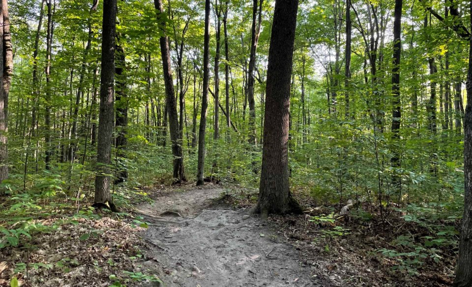 North Bay escarpment seeking 'premier trails destination' status ...