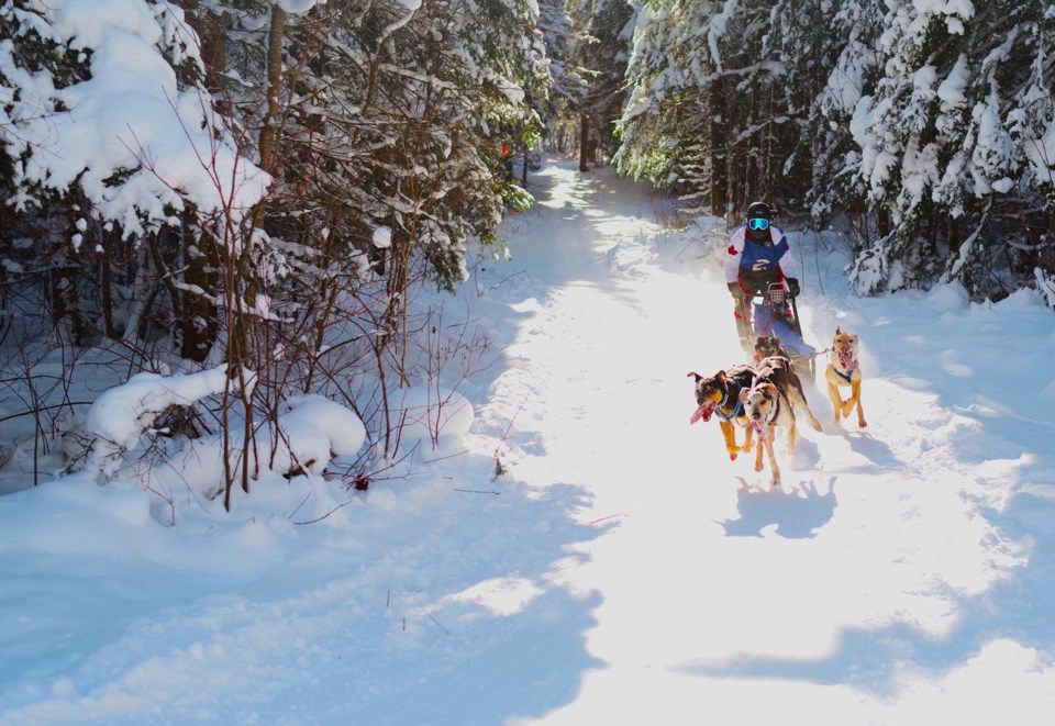 2024-south-river-dog-sled-race-siertsema