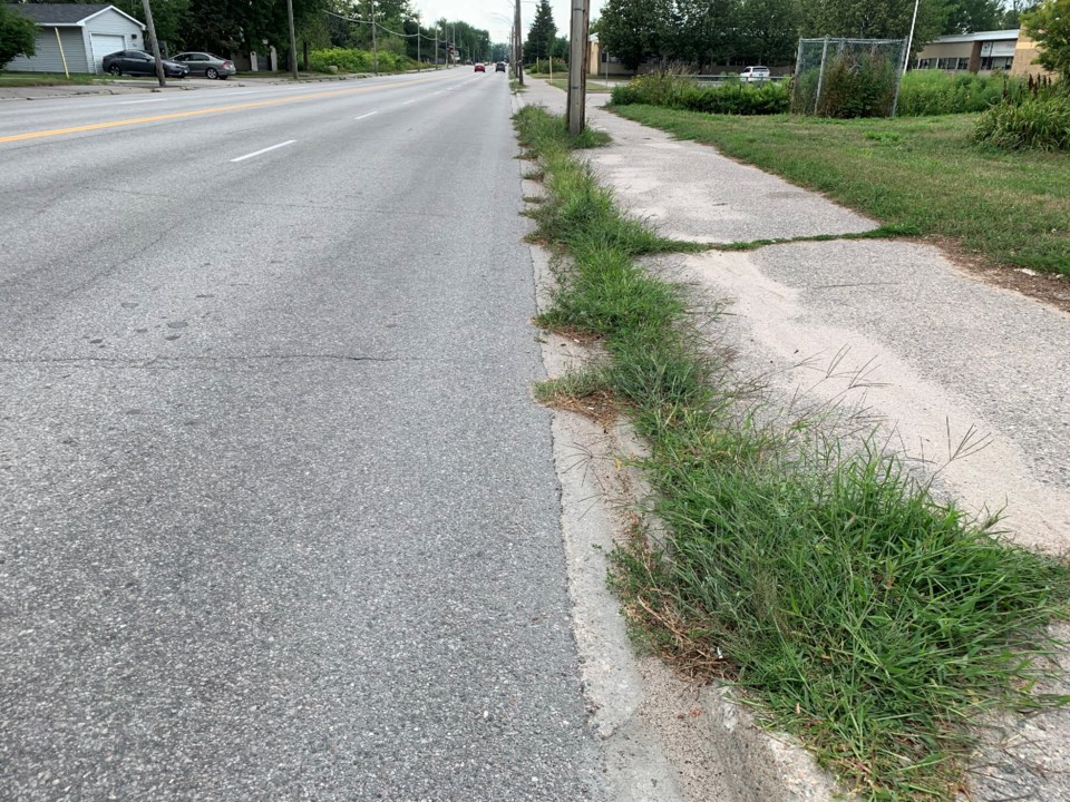 2019 lakeshore drive weed curb cleanup