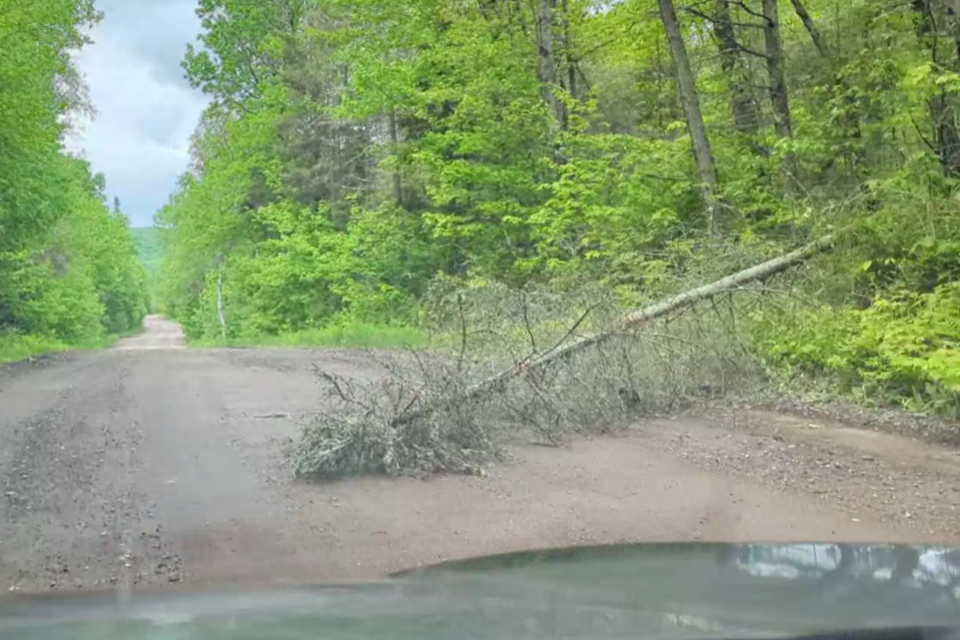 Drivers of Widdifield Station Road have more than just rough terrain to steer around.