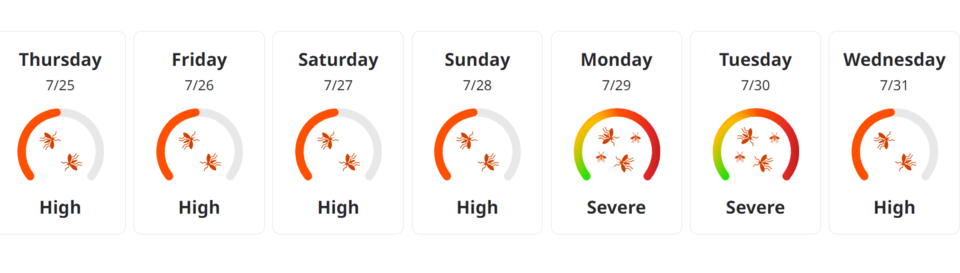 2024-mosquito-forecast