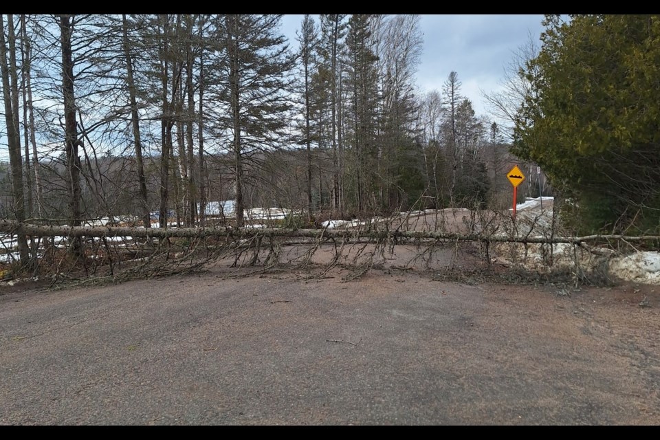 Winds were strong Sunday afternoon on Cedar Heights Road.