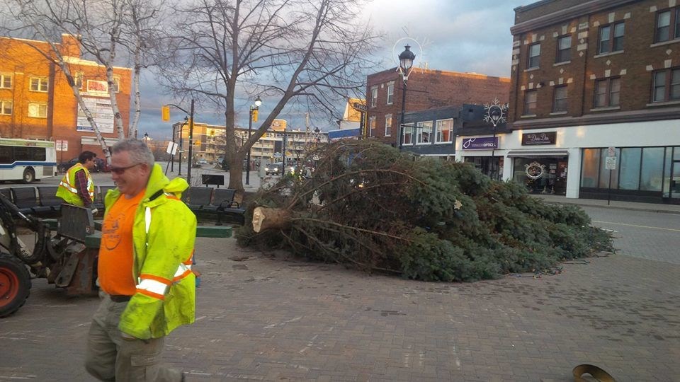 downtownxmastreedown