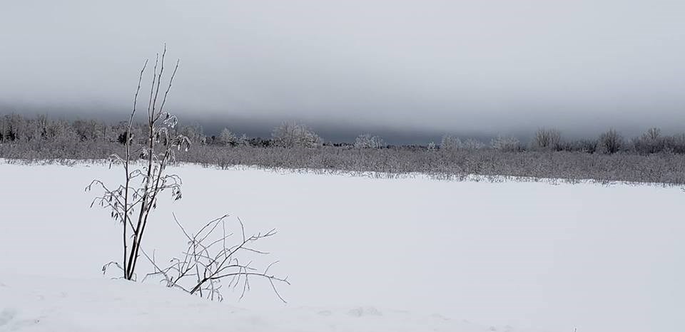 Impending storm today over Sturgeon Falls. Courtesy Janice Silverman,