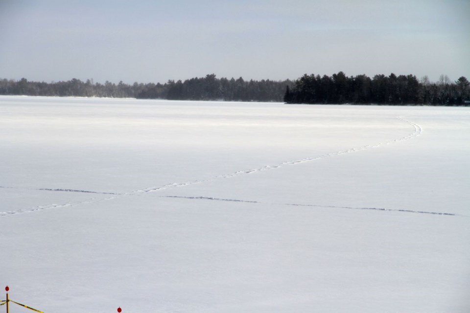 sleddingtroutlakejan2016