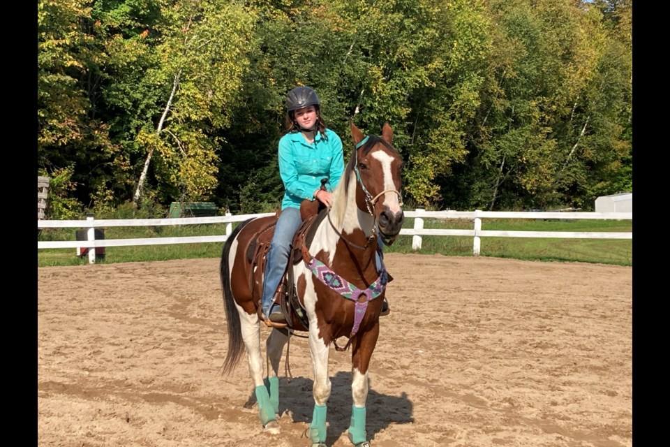 A special horse, Levi was honoured at the Homestead Family Rodeo. 