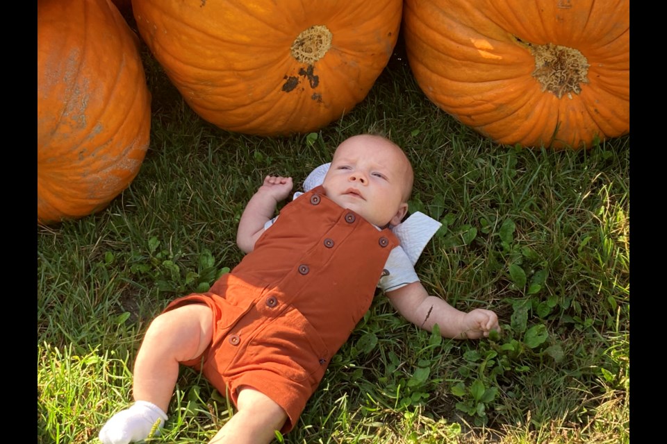 Pumpkins come in all shapes and sizes.