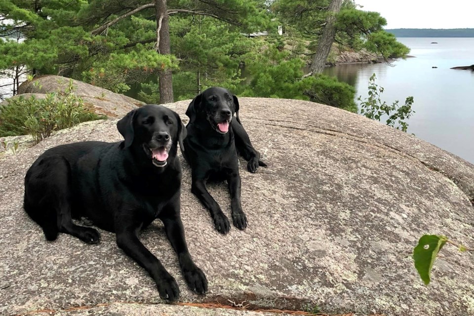 These two black beauties  enjoy a warm day hanging out at The Rock in Nipissing Township