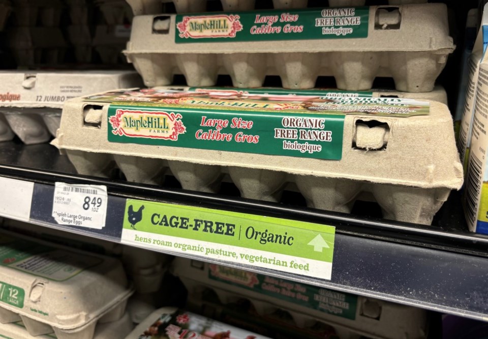 cage-free-eggs-at-save-on-foods-gk