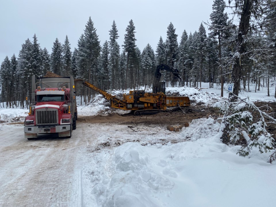 lodgepole-pine-thinning-forestry-works-bc