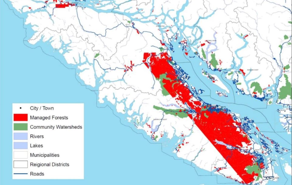 private-forest-lands-vancouver-island-wildsight