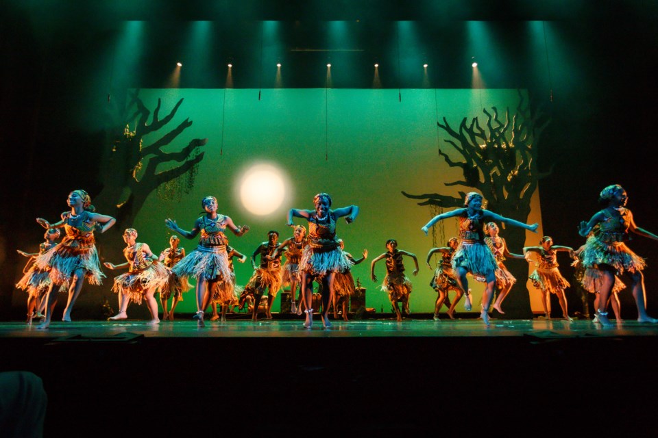 Various acclaimed artists, including Dance Africa, will grace the stage at the Brooklyn Academy of Music (BAM) throughout the winter/spring 2025 season. 