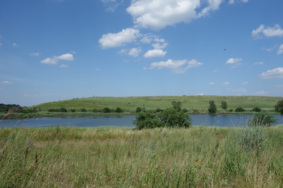 shirley_chisholm_state_park_td_2019-07-14_035_-_oyster_catcher_trail_fountain_avenue_landfill