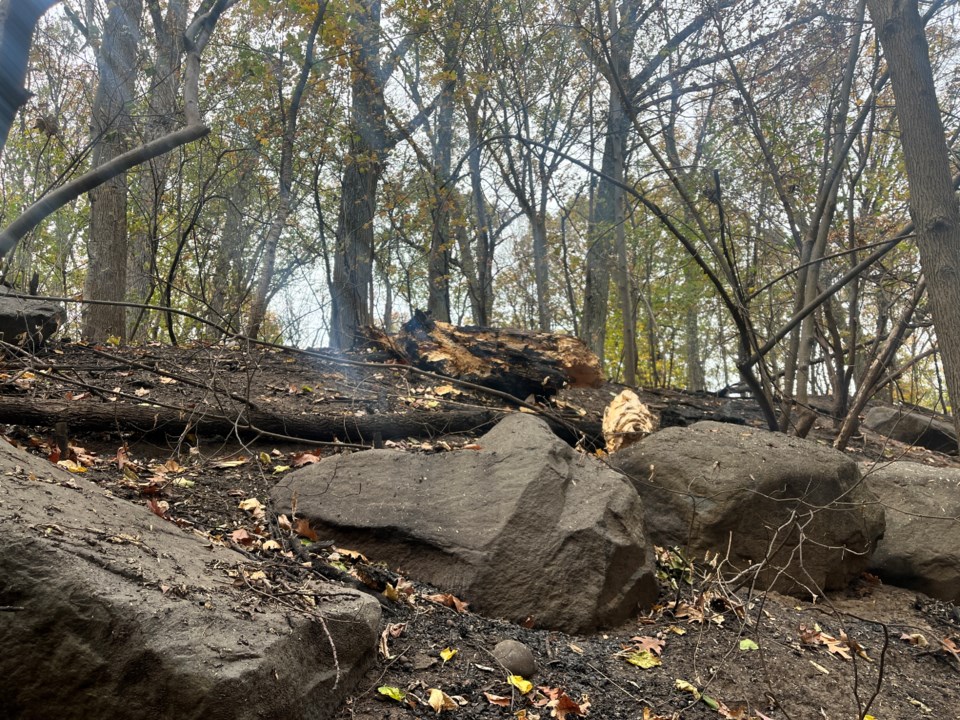 Brooklyn Groups Secure Grants For Wildfire Response Efforts - BKReader