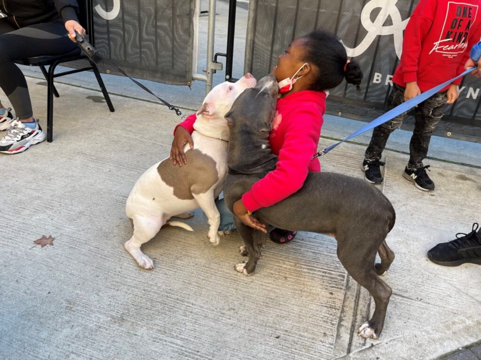 Dogs in line for free vaccinations at Kings Theatre made new friends Saturday. Photo: Jessy Edwards for the BK Reader.