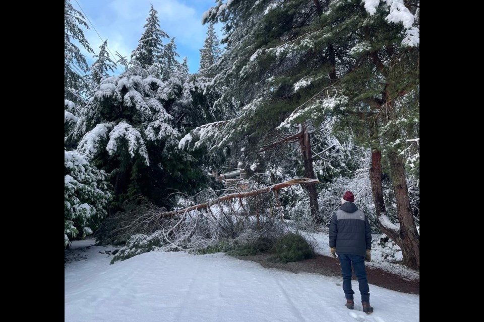 Some residents woke up to an extra task on Monday morning in the form of tree clearing.