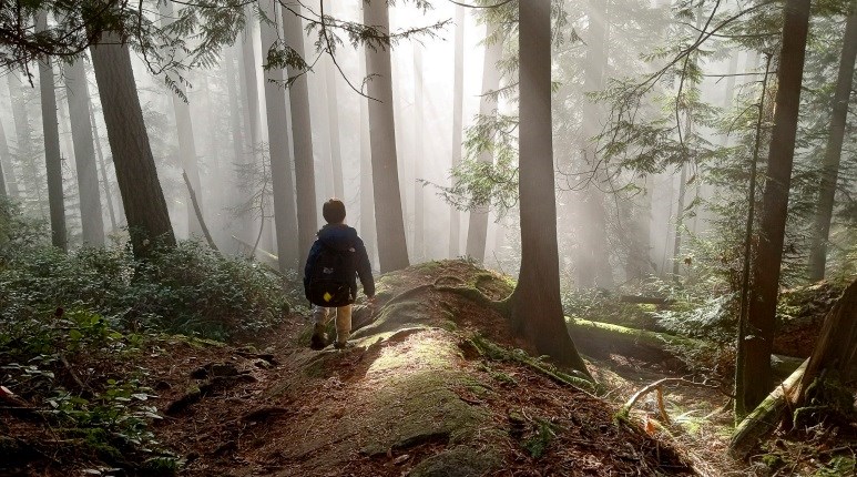 Adults 1st Place - 'Hiking Down Into The Fog...'