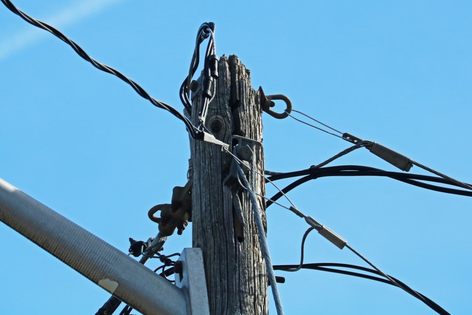 Five years after Frederick Campbell said it began dropping chunks of wood on his lawn, Alectra said it plans to replace this utility pole on Scanlon Avenue in Bradford, as seen on Friday, March 8.