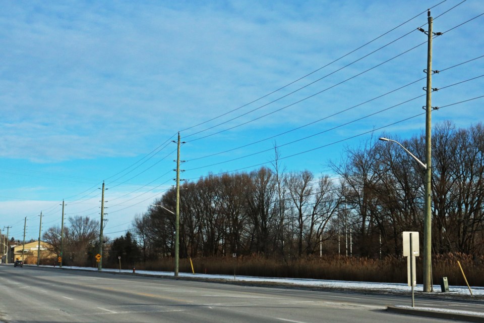 The vacant woodlot on the east side of Dissette Street north of the Bradford GO station is one of two sites in Bradford that could both become home to future battery energy storage systems to help power the town.