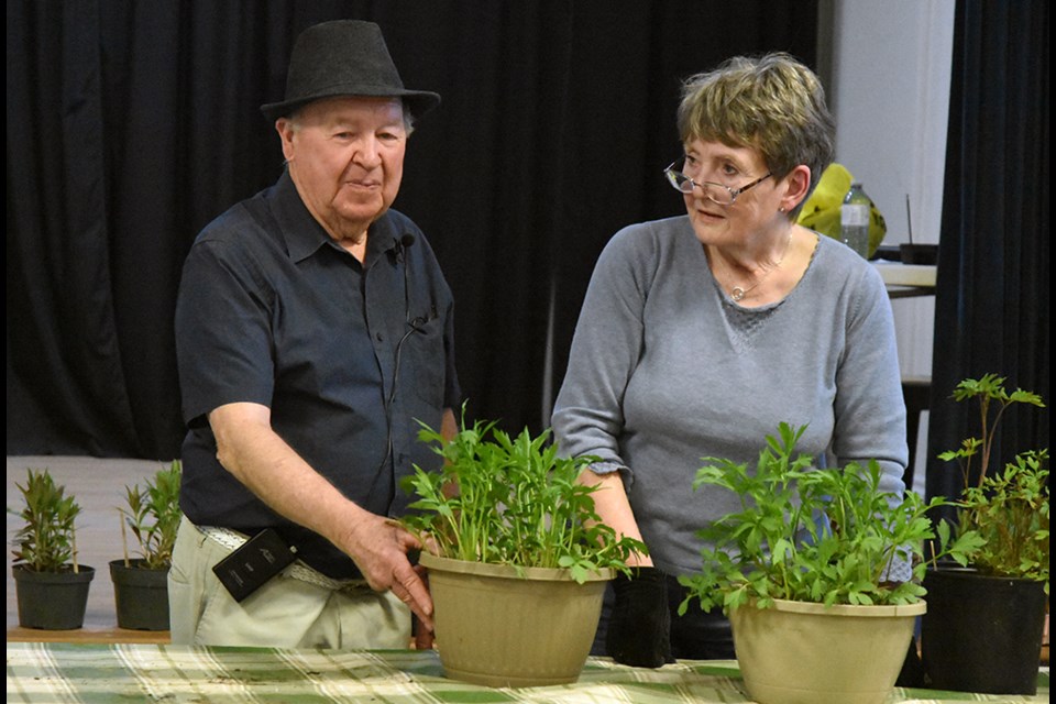 Auctioneer Sam Lee and co-president of the Bond Head-Bradford Garden Club Janet Mills check the description of a plant for auction. Miriam King/Bradford Today