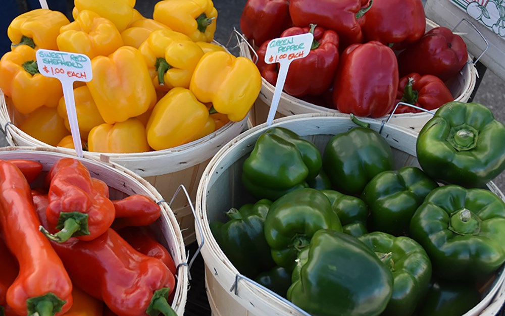 Peak of the season at the Bradford Farmers' Market - Bradford News