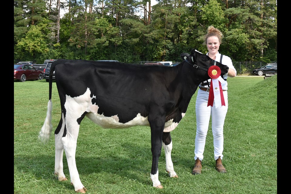 Champion Calf at the Beeton Fair’s 4-H Dairy Show was shown by Olivia Walker. Miriam King/BradfordToday